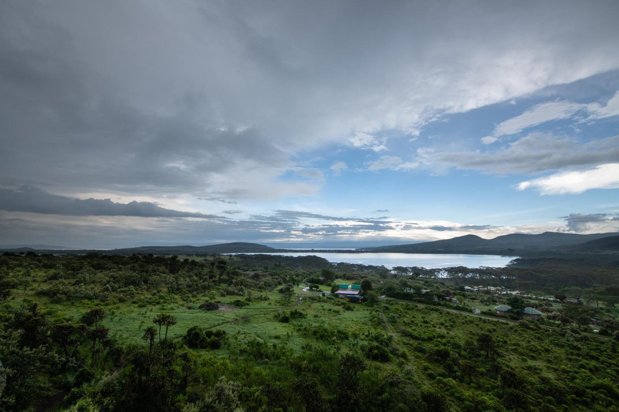 Naivasha Kongoni Lodge - Lakefront Getaway Dış mekan fotoğraf